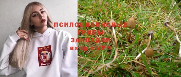 спайс Алзамай