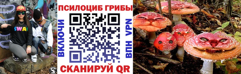 блэк спрут зеркало  Петров Вал  Псилоцибиновые грибы Psilocybine cubensis 
